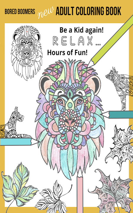 Adult Coloring Book - relax and be a kid again