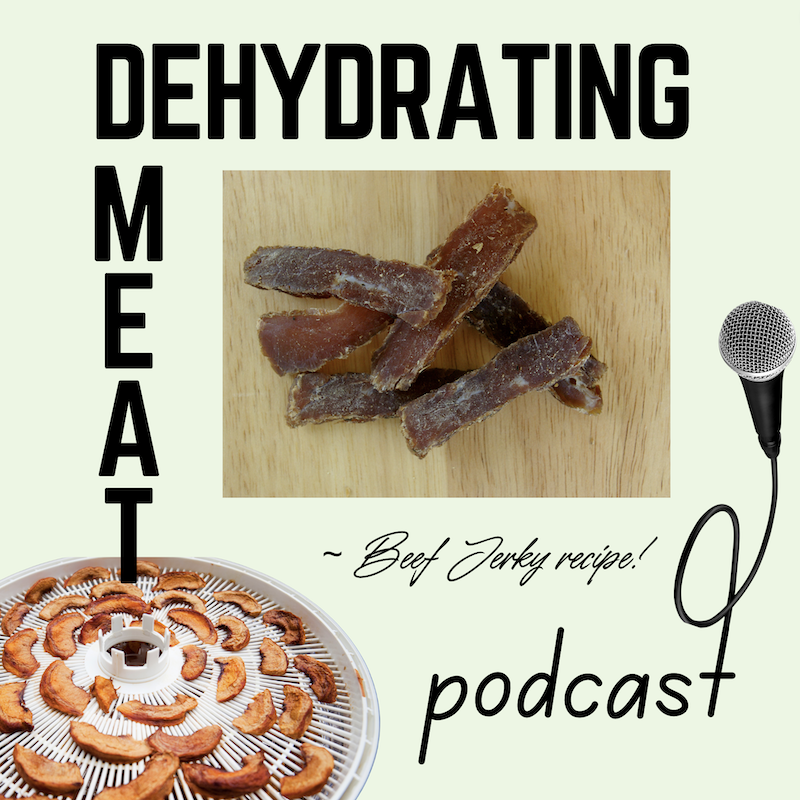 Dehydrating Meat + Beef Jerky Recipe podcast episode 6